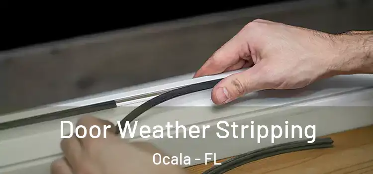  Door Weather Stripping Ocala - FL