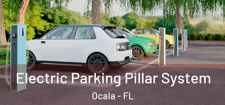  Electric Parking Pillar System Ocala - FL