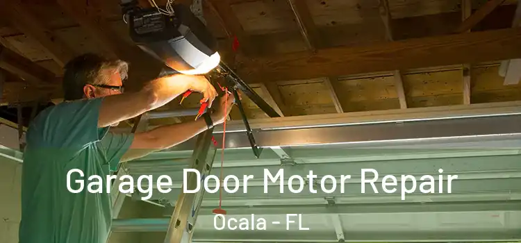  Garage Door Motor Repair Ocala - FL