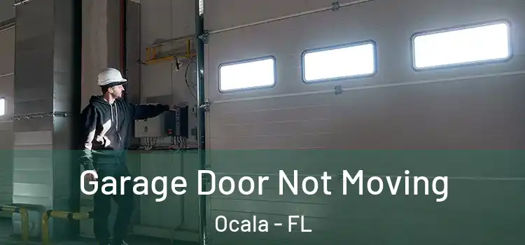  Garage Door Not Moving Ocala - FL