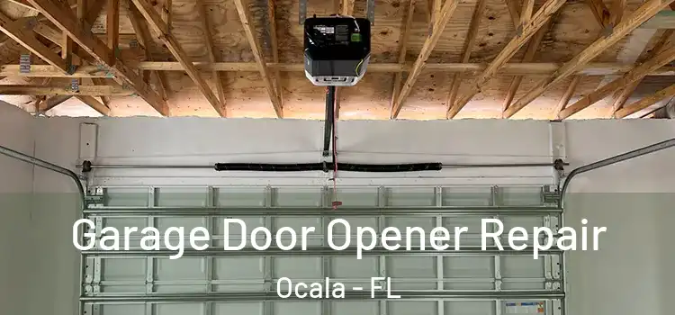  Garage Door Opener Repair Ocala - FL