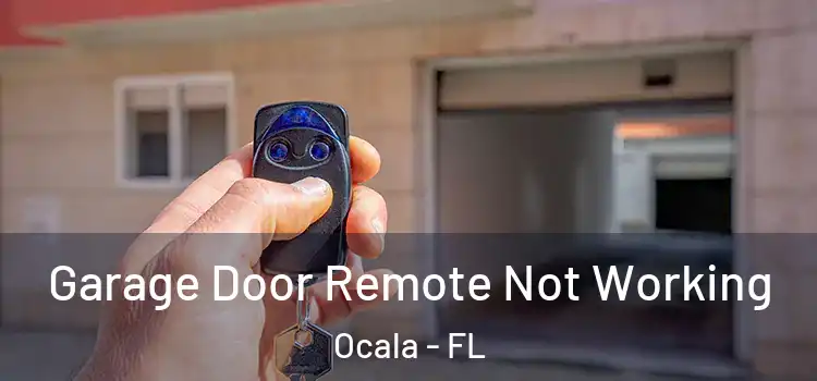  Garage Door Remote Not Working Ocala - FL
