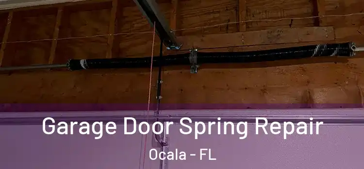  Garage Door Spring Repair Ocala - FL