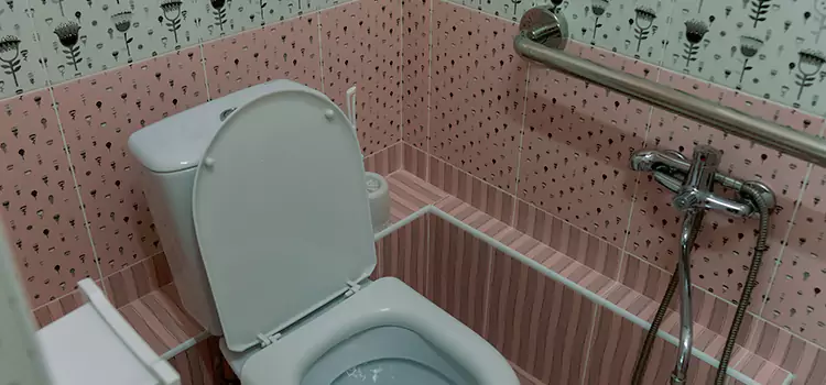 Meeting Diverse Needs With Accessible Restroom Solutions in Ocala, FL
