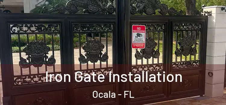 Iron Gate Installation Ocala - FL
