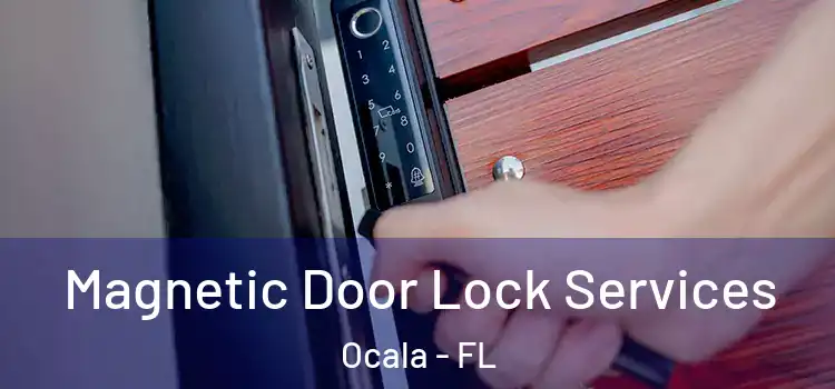Magnetic Door Lock Services Ocala - FL